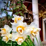 La Fucinaia Pet Friendly Adults Only 坎丕里亚麦利蒂玛