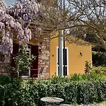 La Fucinaia Pet Friendly Adults Only 住宿加早餐酒店 坎丕里亚麦利蒂玛