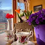 住宿加早餐酒店 La Fucinaia Pet Friendly Adults Only 3*