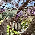 La Fucinaia Pet Friendly Adults Only 3* 坎丕里亚麦利蒂玛