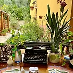 住宿加早餐酒店 La Fucinaia Pet Friendly Adults Only 坎丕里亚麦利蒂玛