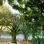 La Fucinaia Pet Friendly Adults Only 住宿加早餐酒店