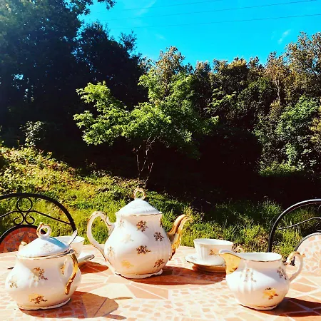 La Fucinaia Pet Friendly (adults Only) Bed & Breakfast 3*