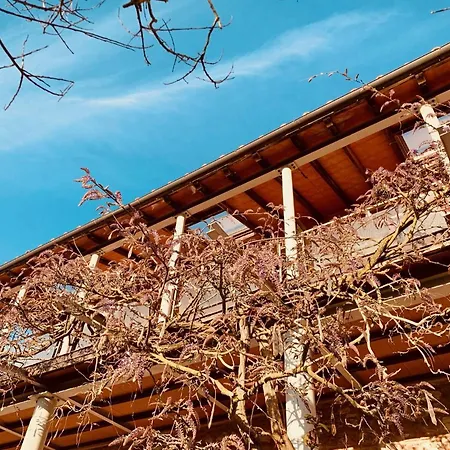 Panzió La Fucinaia Pet Friendly Adults Only