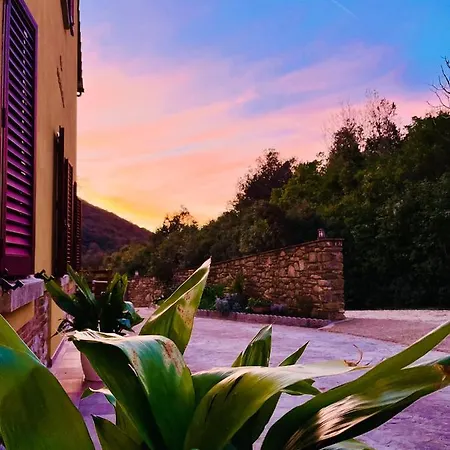 Bed & Breakfast La Fucinaia Pet Friendly (adults Only)