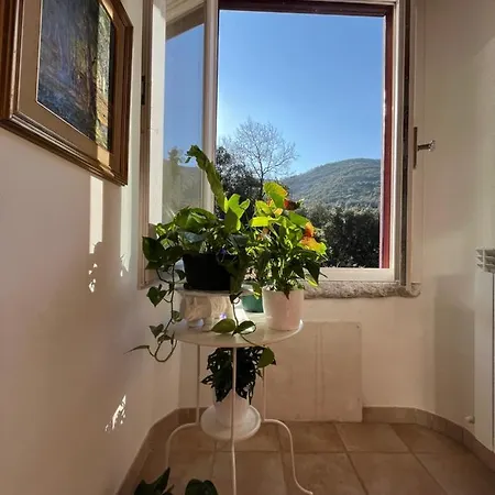La Fucinaia Pet Friendly (adults Only) Bed & Breakfast Campiglia Marittima