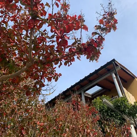 La Fucinaia Pet Friendly (adults Only)