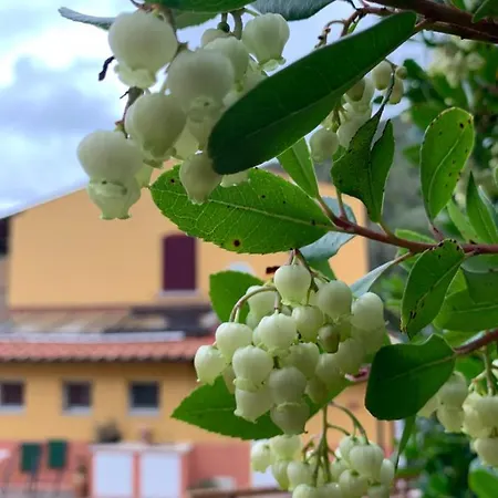 La Fucinaia Pet Friendly (adults Only)