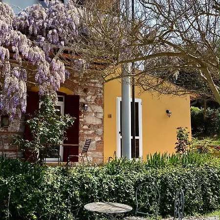 La Fucinaia Pet Friendly (adults Only) Bed & Breakfast Campiglia Marittima