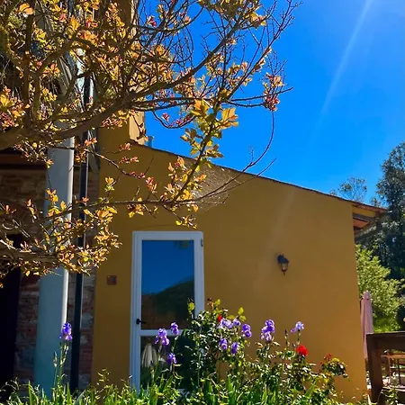 Bed & Breakfast La Fucinaia Pet Friendly Adults Only Campiglia Marittima