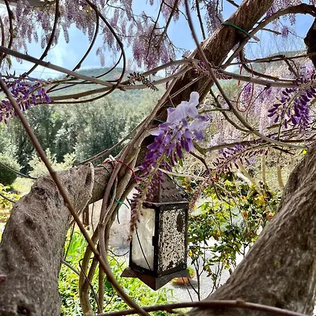 La Fucinaia Pet Friendly Adults Only * Campiglia Marittima