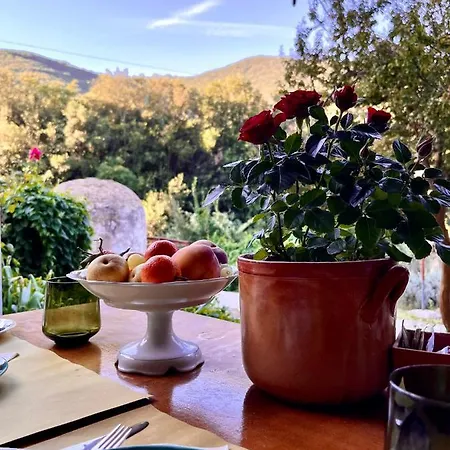 La Fucinaia Pet Friendly (adults Only) Campiglia Marittima