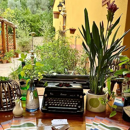 Bed & Breakfast La Fucinaia Pet Friendly Adults Only Campiglia Marittima