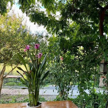 La Fucinaia Pet Friendly (adults Only) Bed & Breakfast