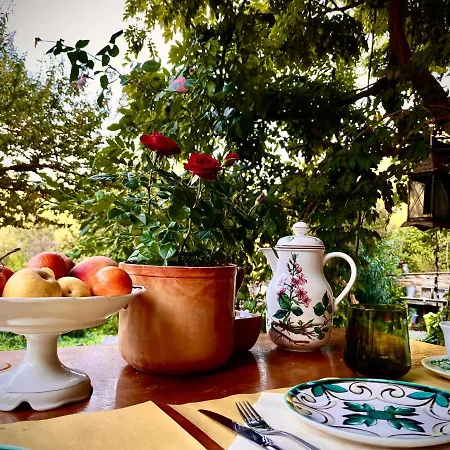 La Fucinaia Pet Friendly Adults Only Bed & Breakfast Campiglia Marittima