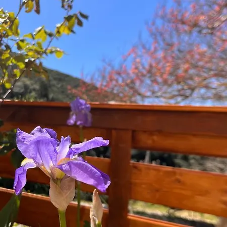 La Fucinaia Pet Friendly Adults Only * Campiglia Marittima