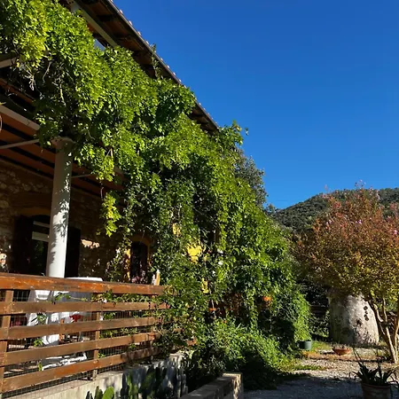 La Fucinaia Pet Friendly Adults Only * Campiglia Marittima