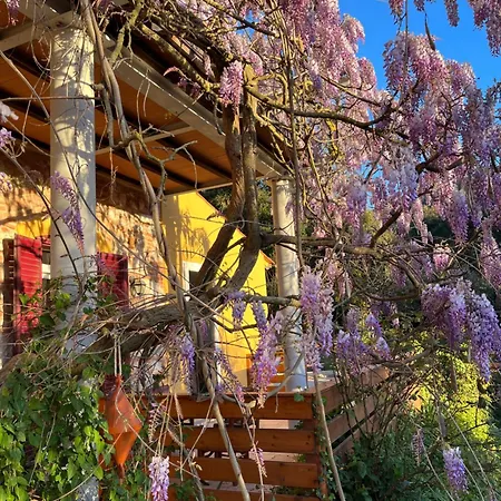 La Fucinaia Pet Friendly Adults Only