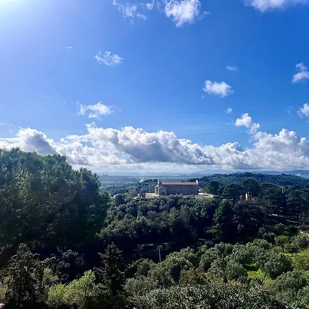Bed & Breakfast La Fucinaia Pet Friendly Adults Only