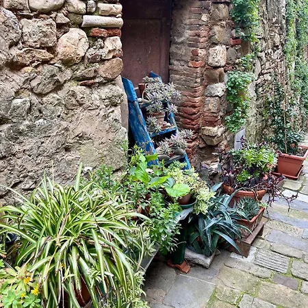 Bed & Breakfast La Fucinaia Pet Friendly Adults Only