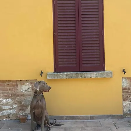 La Fucinaia Pet Friendly Adults Only Campiglia Marittima