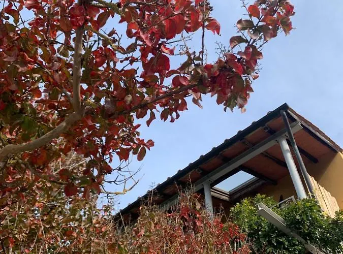 La Fucinaia Pet Friendly Adults Only