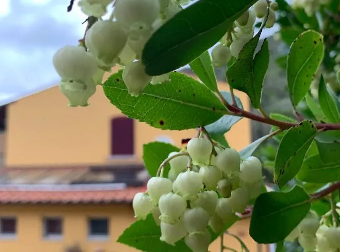 La Fucinaia Pet Friendly Adults Only