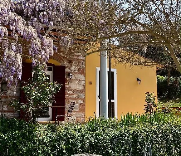 La Fucinaia Pet Friendly Adults Only Panzió Campiglia Marittima