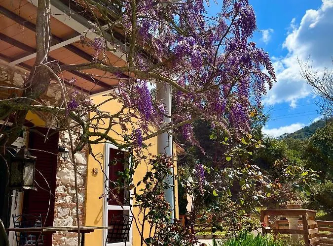 La Fucinaia Pet Friendly Adults Only Panzió 3*