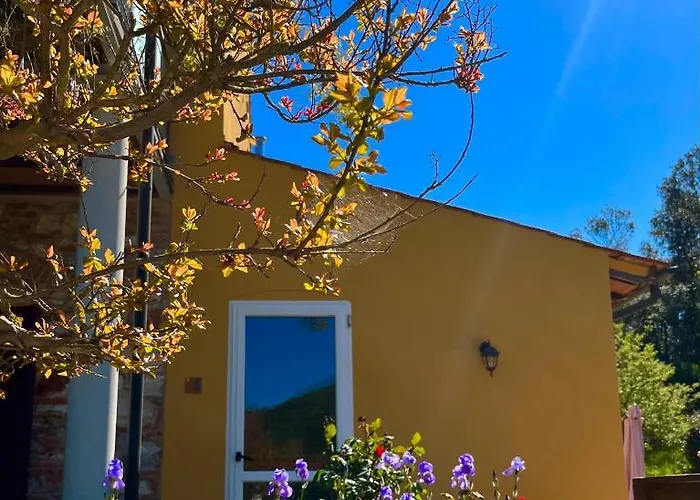 Panzió La Fucinaia Pet Friendly Adults Only Campiglia Marittima