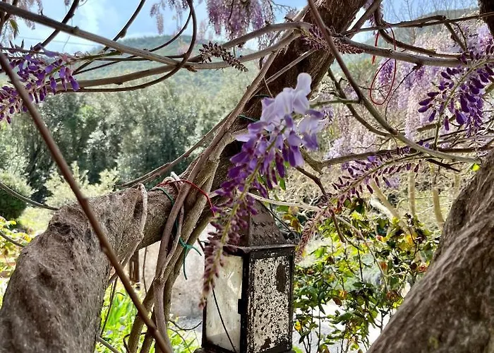 La Fucinaia Pet Friendly Adults Only 3* Campiglia Marittima