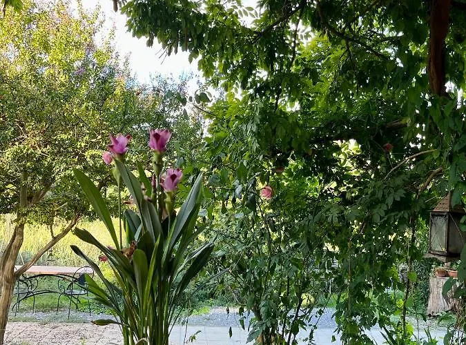 La Fucinaia Pet Friendly Adults Only Panzió