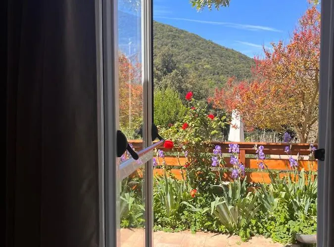 La Fucinaia Pet Friendly Adults Only Campiglia Marittima